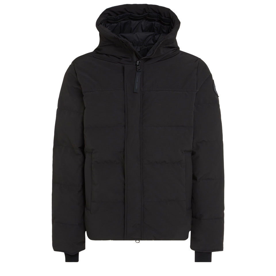 CANADA GOOSE 2080MB61