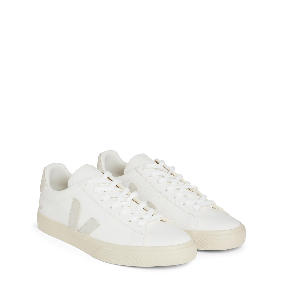 VEJA CP0502429WH