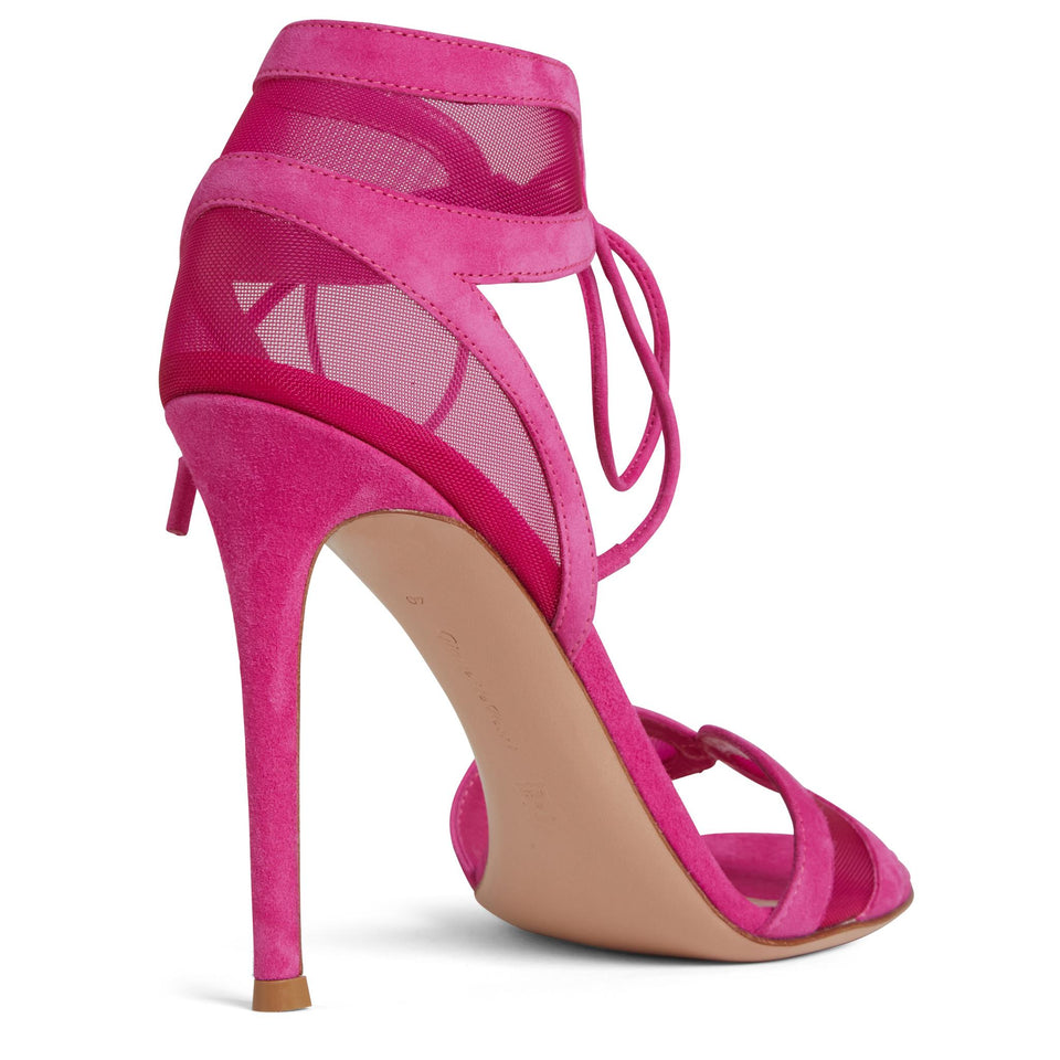 Sandali ''Falene'' in suede fuxia G61784 15RICXARBLNM GIANVITO ROSSI 