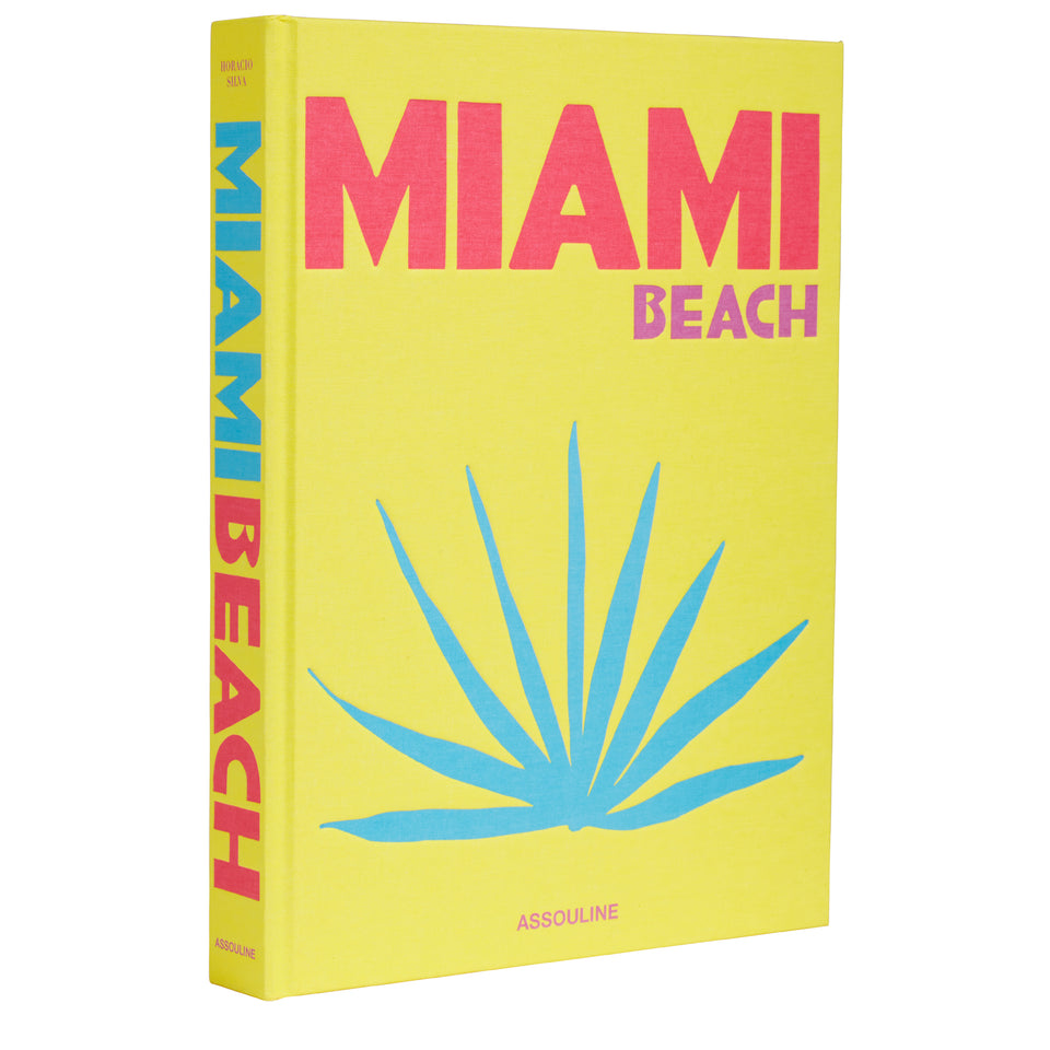 Book '' Miami Beach '' by Assouline